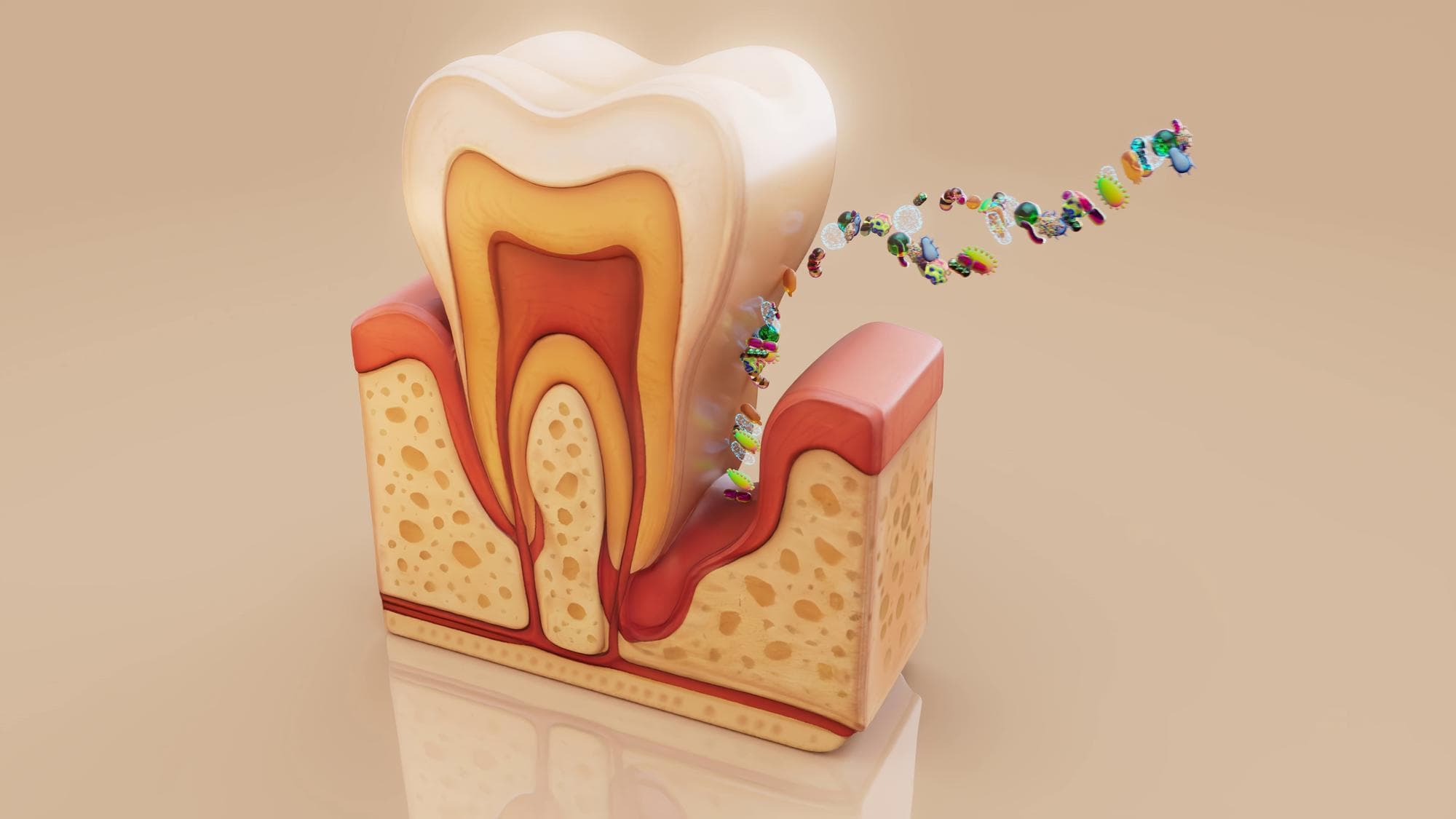 Periodontics